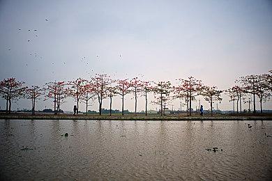 模拟经营游戏《城堡经理》上架Steam 支持简体中文